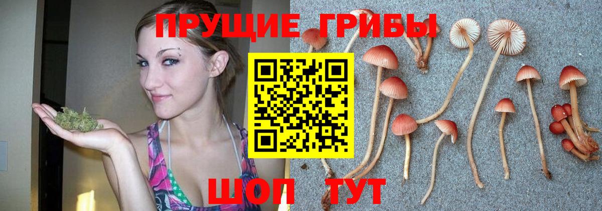 Галлюциногенные грибы ЛСД Зеленокумск